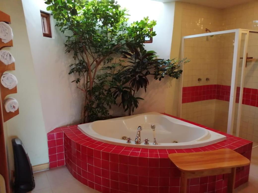 Casa Tsaya Hotel Boutique ベルナル エクステリア 写真