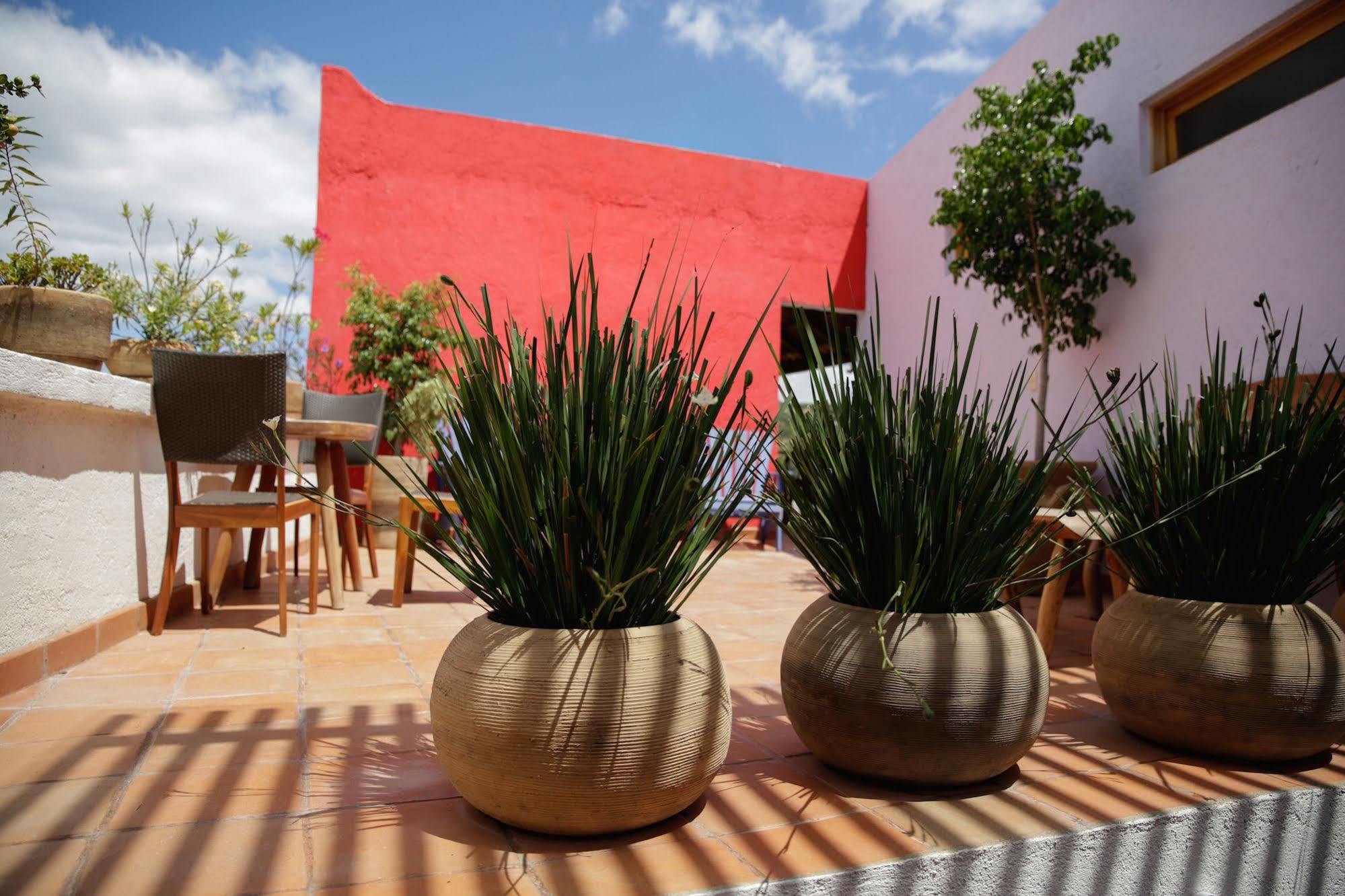 Casa Tsaya Hotel Boutique ベルナル エクステリア 写真